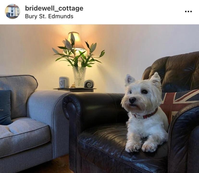 Sweet & Cosy 10 Bridewell Cottage With Parking Available Upon Request Bury St. Edmunds 외부 사진
