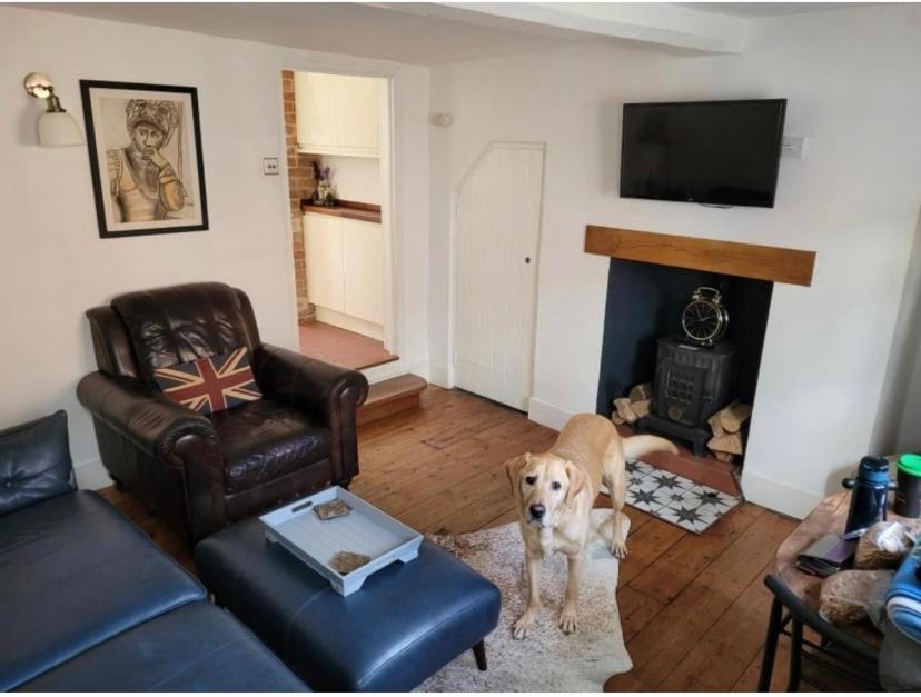 Sweet & Cosy 10 Bridewell Cottage With Parking Available Upon Request Bury St. Edmunds 외부 사진